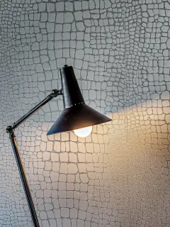 意大利Lorenzo很有感觉的墙画壁纸设计 [55P] 2/2 - 空间设计 -手机版 - Powered by Discuz!