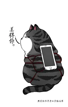 吾皇的白茶的照片 - 微相册