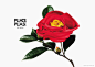 TSDO Inc.