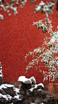 #霜降#故宫的第一场雪，转发带好运 ​​​​