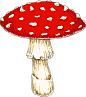 手绘秋季森林植物树叶蘑菇菌类蜗牛卡通免扣PNG图案 AI矢量素材 (5)