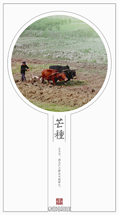 江江江若愚采集到节气