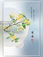 二十四节气寒露桂花蓝色简约海报图片_潮国创意