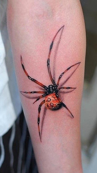 3D Spider