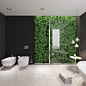 Competition Bathroom : Competition Projectcategory: bathroom
