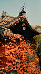 "
时间，渐渐带走了年少轻狂，
也慢慢沉淀了冷暖自知。
 
说不清，就不说，难得沉默；
想不透，就不想，难得省心；
 
人生中，诸多人，
诸多事，诸多感情，
无需纠结，一笑而过最好。 ​​​
"