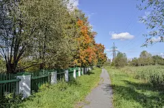 沿着秋天公园的篱笆的路