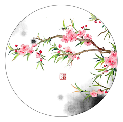 Alex0283采集到花卉图