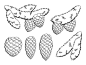 杉木枝图形锥黑白孤立素描插图向量插画图片