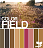 color palette: 