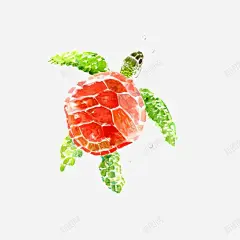 手绘海龟 页面网页 平面电商 创意素材