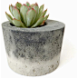 Concrete Pot for Succulent Cactus Grey Urban Industrial Planter Home Decor