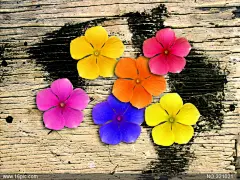 家纺/布艺/鲜花 海报 花儿朵朵仿真花PSD背景素材