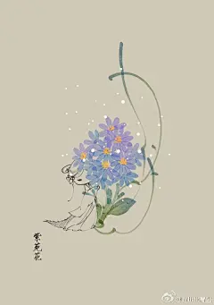 9月27日 紫苑花（European Michaelmas Daisy） 
花语：贵族情趣