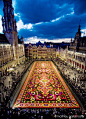 The Carpet of Flowers 
in Brussels, Belguim.