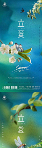 【源文件下载】 海报 房地产 二十四节气 立夏 油画 蝴蝶 蜻蜓 437732