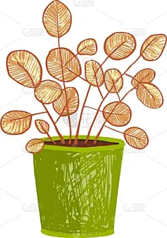 锅,室内,植物群,动物手,分离着色,自然,花瓶,房屋,花盆,绘制