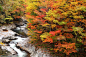山谷,秋天,颜色,十月,纯净,环境,色彩鲜艳,著名景点,自然美,福岛县