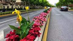 嗨皮兔采集到D 景观示意图-花坛、花箱、树池