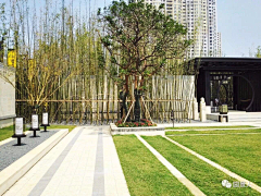 20Chan采集到树池