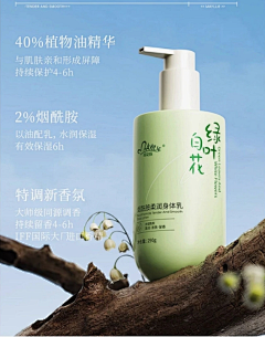 MiniMai采集到树根