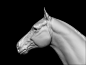 horse, Aritz Basauri : Last project done. Keep working on furry animals. Been the fur so short, the main challenge has been to balance correctly the density and length and also applying properly displacement to the fur. Overall a really fun process. Love 