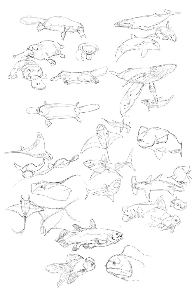 2022 Doodle_photostu...