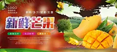 芒果海报 【酷图网】广西芒果,百色芒果,田东芒果,苹果芒,广西百色芒果,青芒果,进口芒果,芒果干,芒果冰沙,芒果海报,芒果广告,芒果水果,水果芒果,芒果文化,芒果展板,芒果包装,水果店芒果,水果店,芒果宣传册,芒果批发,批发芒果,芒果专卖,芒果基地,芒果节,澳芒,新鲜芒果,鲜榨果汁,水果宣传,越南芒果,设计,广告设计