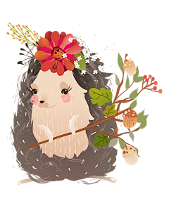 Anan_🌸采集到刺猬