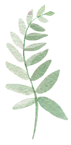 D1sdUPWT采集到香皂