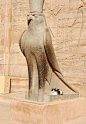 Horus statue with cat at Temple of Edfu, Egypt: 