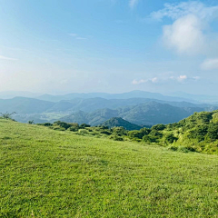 电商设计待退役采集到质感背景