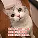 采集图片