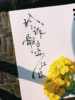❀梦昙花开❀采集到橡皮章