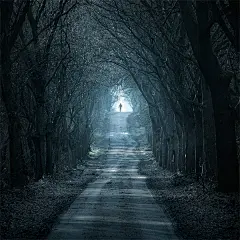 习惯默默的等待