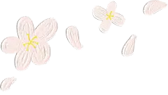 花瓣PNG素材
抱图关注麻烦关注，素质抱图
更多素材@Polly圮梨