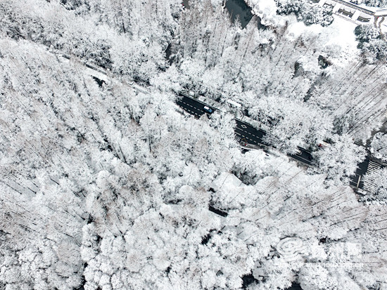 杭州雪景大片打包送到 换个角度看西湖 -...