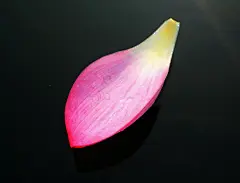 壁纸 https://www.cndesk.com/