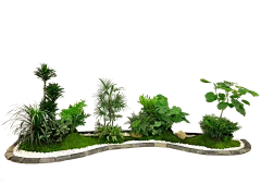 熬夜党采集到(真鲜/仿真/混合真假鲜等造景)/苔藓造景