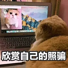 微信 QQ 搞笑 表情包 哈哈 (2196)
