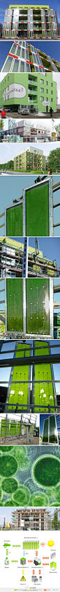 以藻类为能源的建筑：位于德国汉堡有着世界的首座以水藻为能源的大楼。藻类被植入了大楼的面板，覆盖在表面，水、二氧化碳和阳光进行作用，藻类迅速增长，可使室内温度降低，并有温水生产出。收获后的浆液也可以转换为生物燃料进行使用。http://t.cn/zTpL7wC