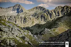 借势推特小蓝鸟变X，WWF也太会做海报了 : 为热爱发电，WWF做起创意来一点都不虚。