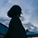 屋顶花