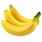 webp (21)