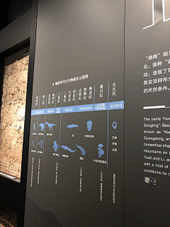 ailingyoung采集到展厅平面