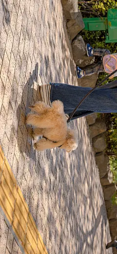 你未必出类拔萃，但一定与众不同『春日风景电脑无水印壁纸』#小清新壁纸##聊天背景图#​​​