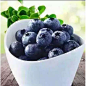 新鲜蓝莓鲜果 _微海汇 #吃货# #水果#