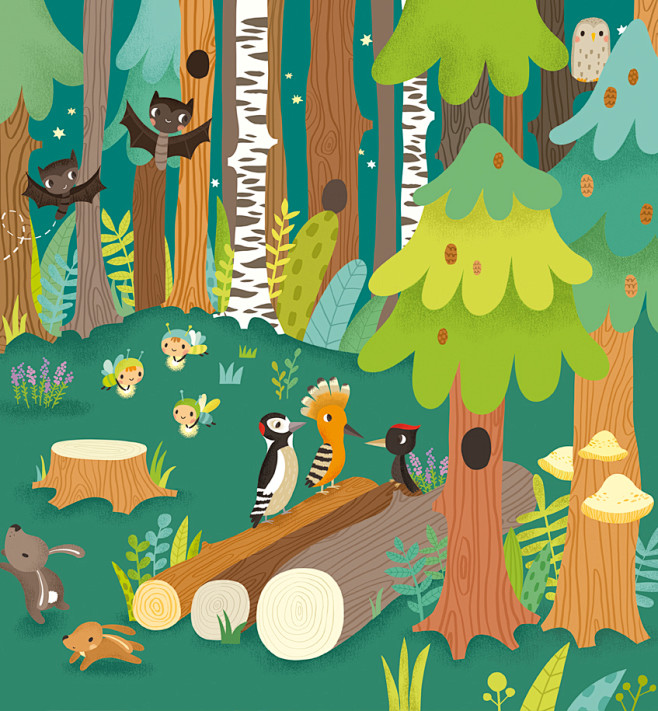 the forest : a very .