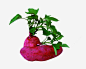 免抠素材红薯图片png免抠素材_新图网 https://ixintu.com 地瓜 农作物 健康食物 红薯叶图片