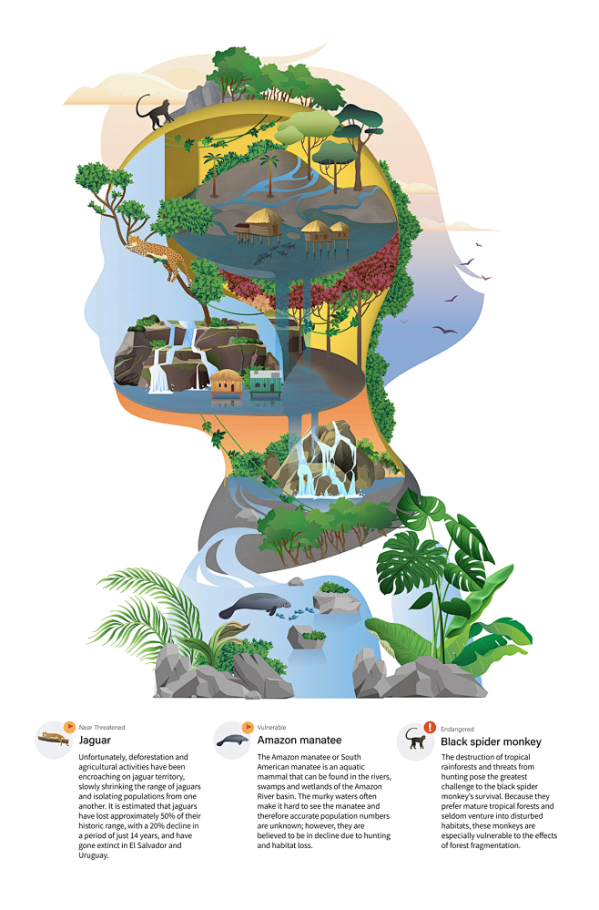 animal conservation ...